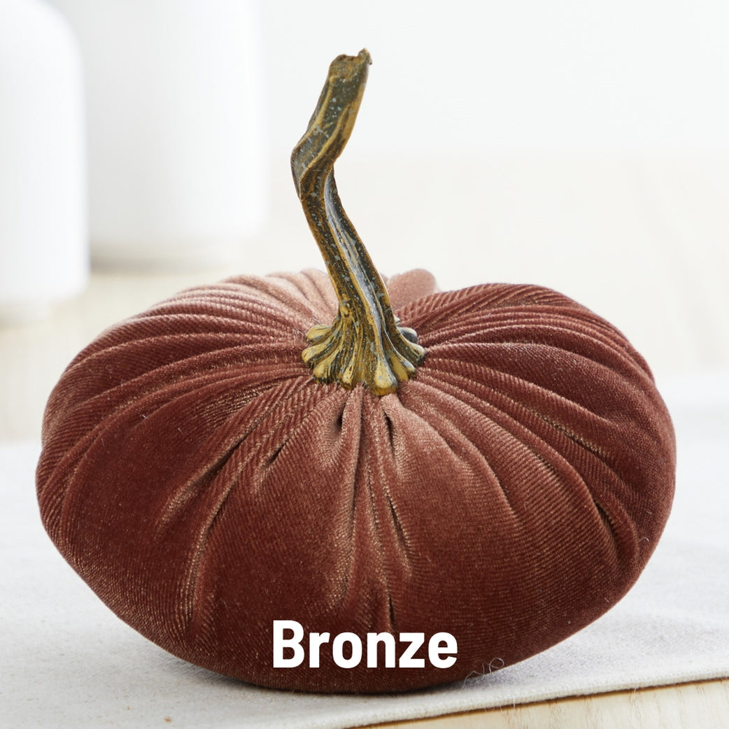 "Velvet Pumpkin, Bronze"