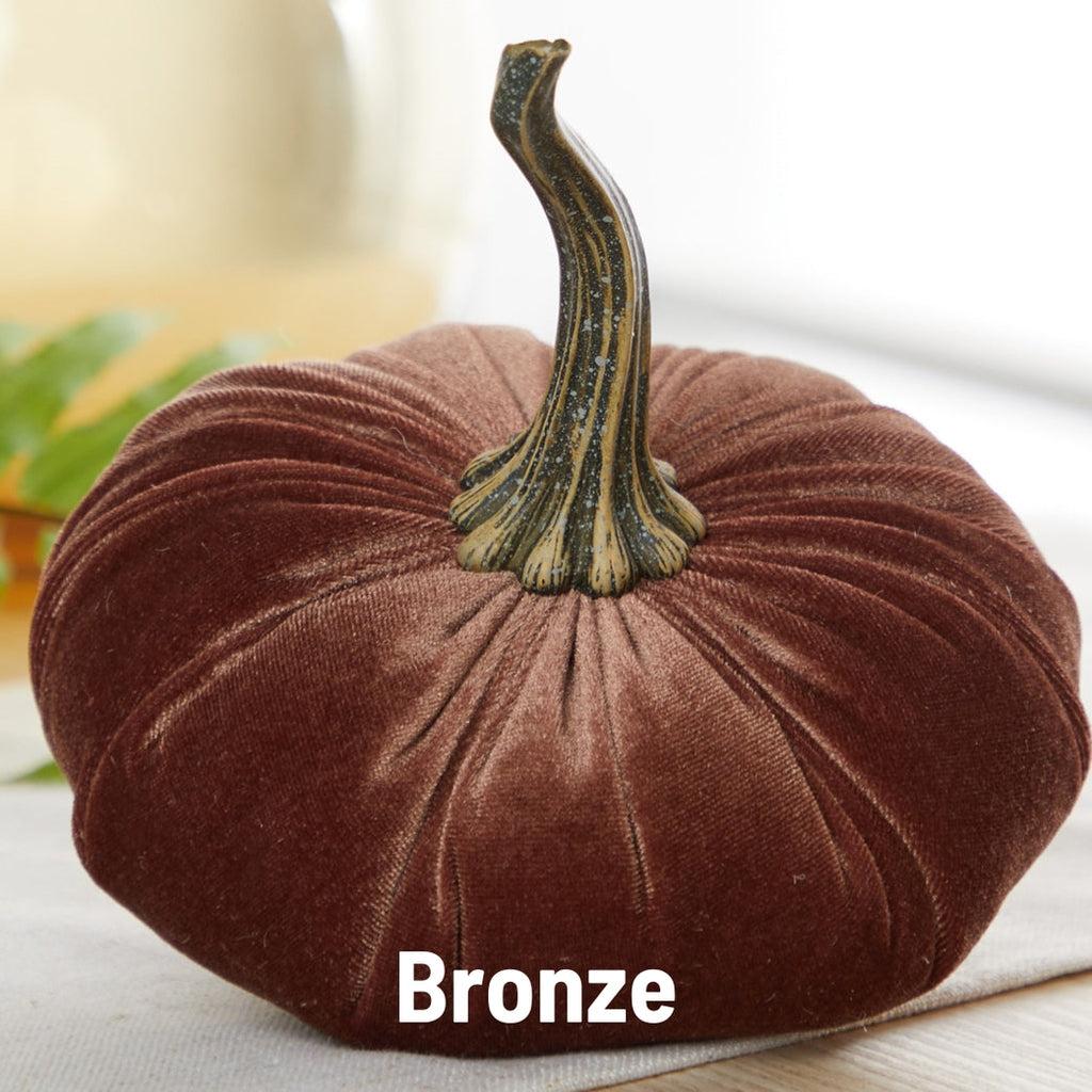 "Velvet Pumpkin, Bronze"