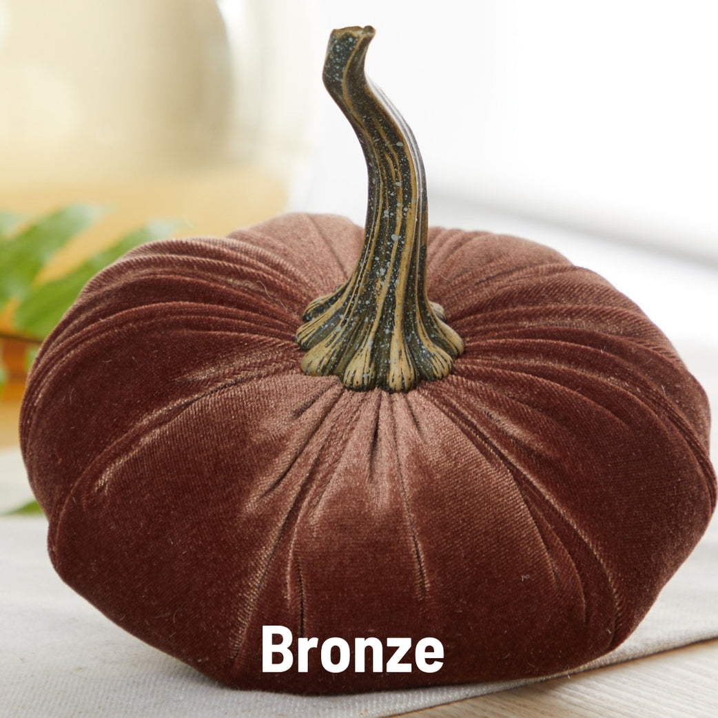 "Velvet Pumpkin, Bronze"