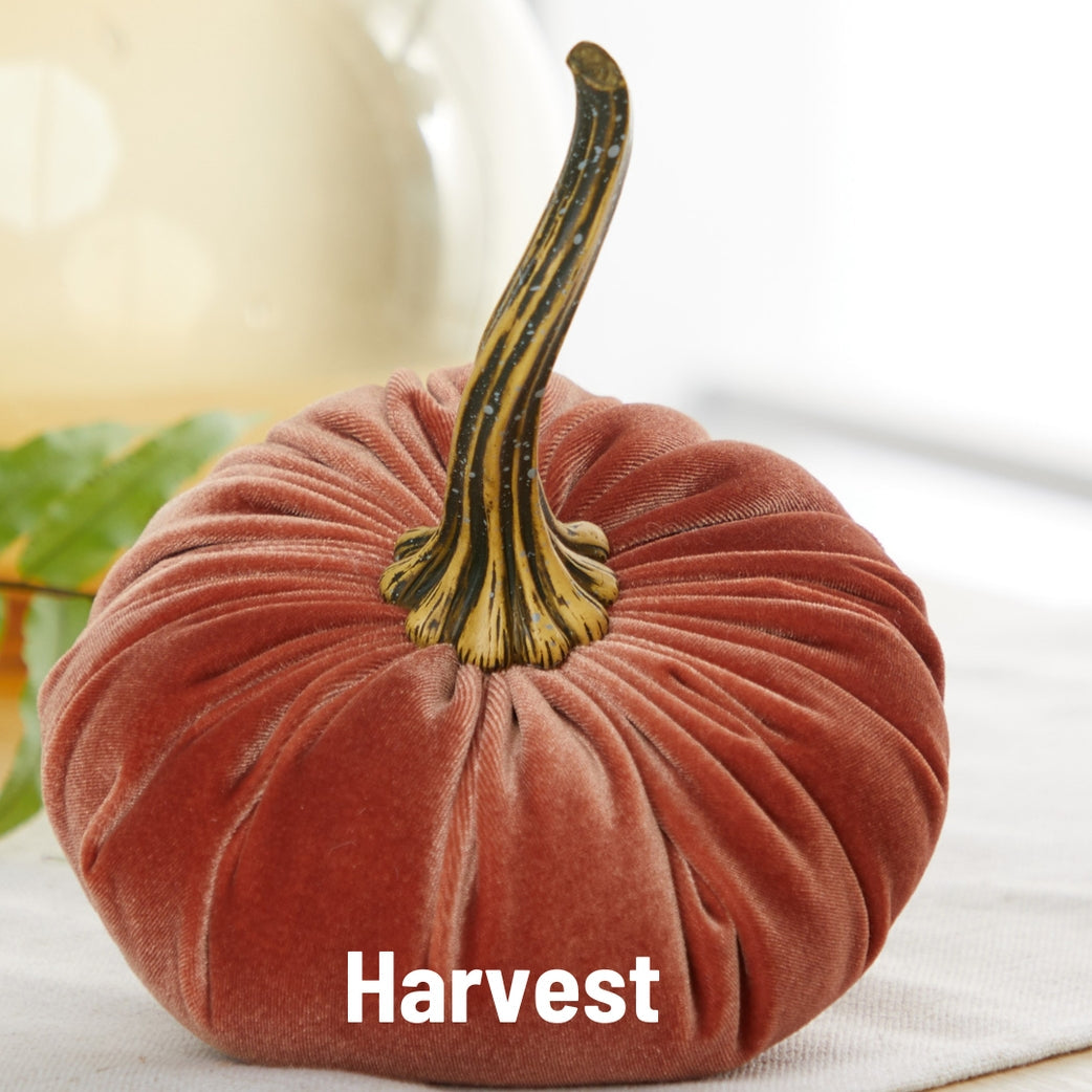 "Velvet Pumpkins, Harvest Orange Velvet"
