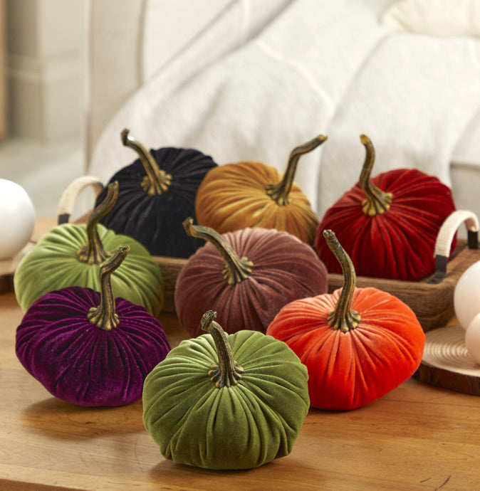 "Velvet Pumpkin, Bronze"