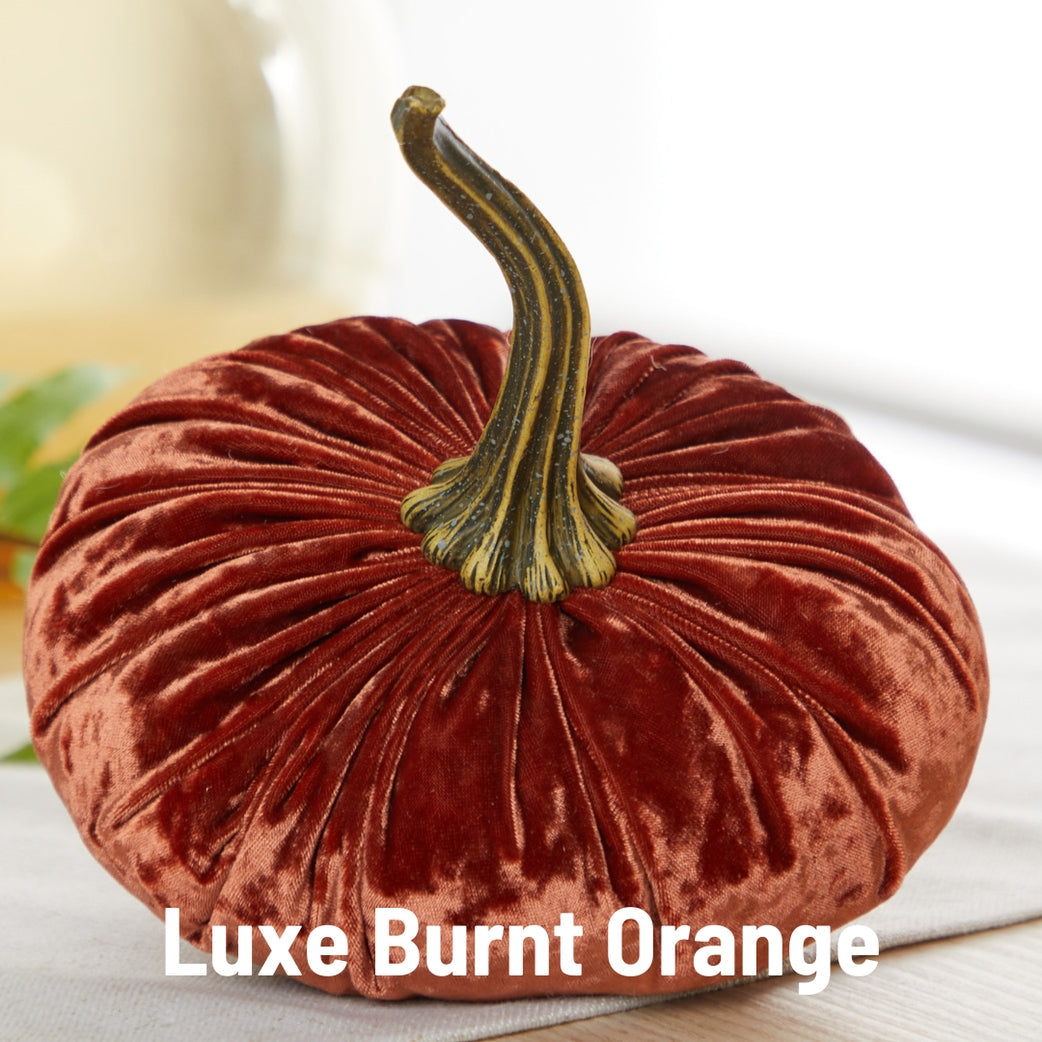 "Velvet Pumpkin, Luxe Burnt Orange"