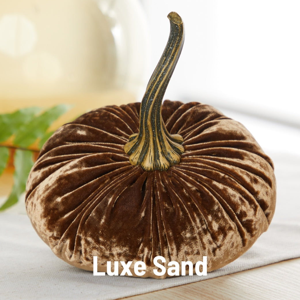 "Velvet Pumpkins, Luxe Sand - Nuetral Thanksgiving Decorations"
