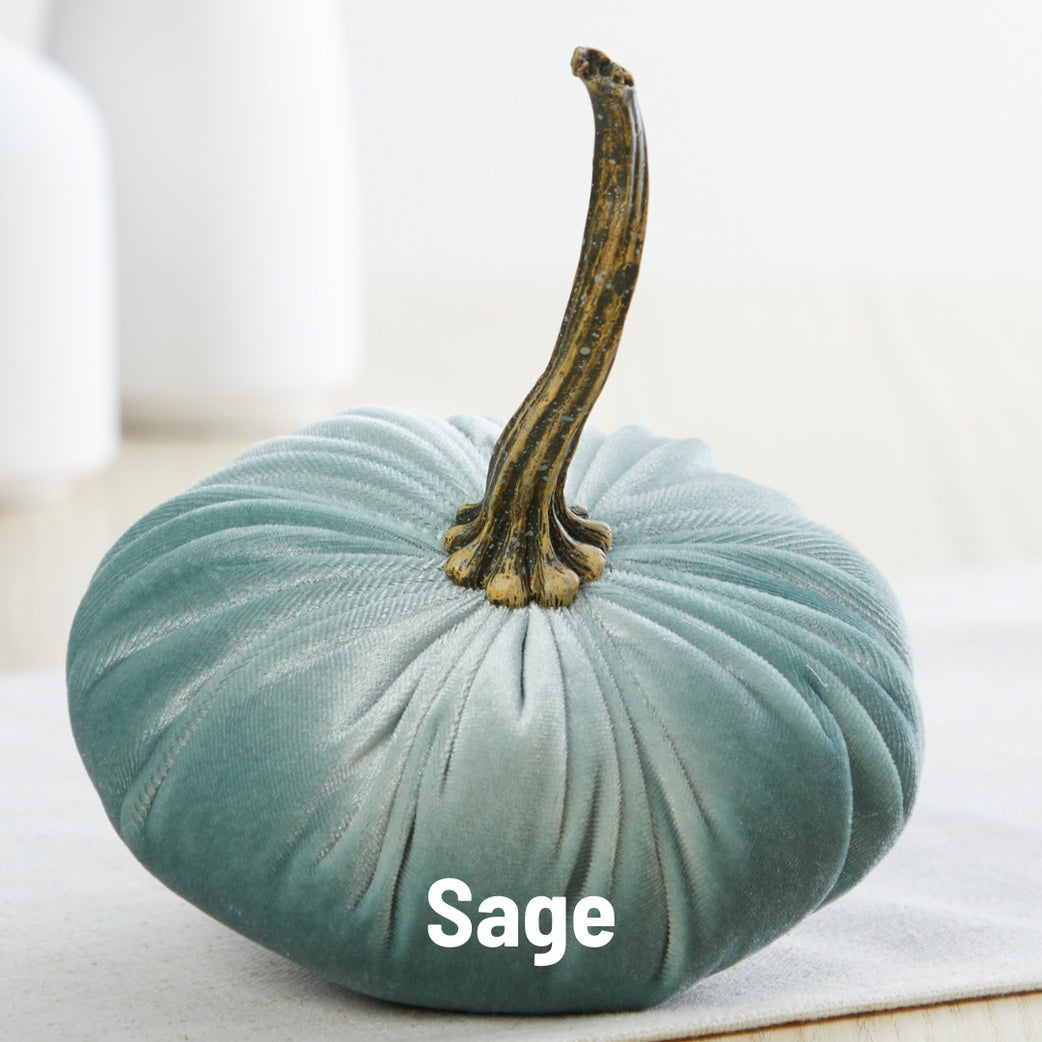 "Velvet Pumpkin, Blue-Green Sage"