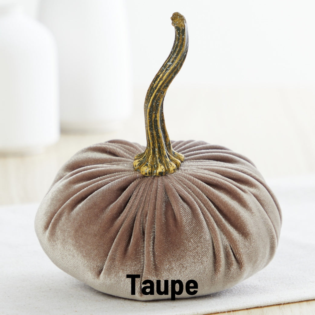 Velvet Pumpkins in Neutral Colors - Taupe
