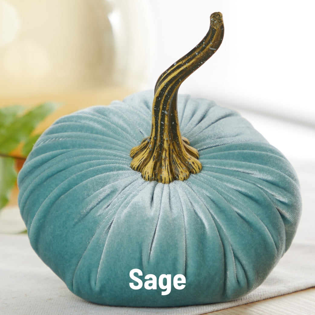 "Velvet Pumpkin, Blue-Green Sage"
